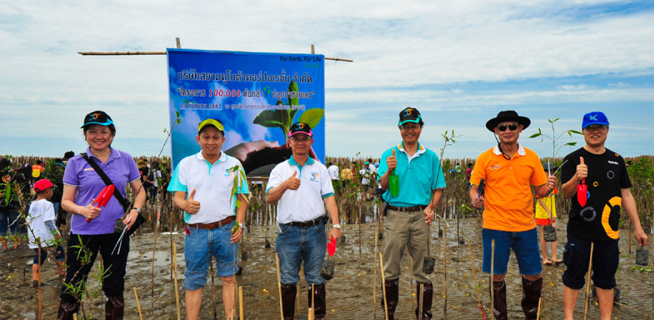 โครงการ 100,000 ต้นกล้า ปลูกป่าชายเลน