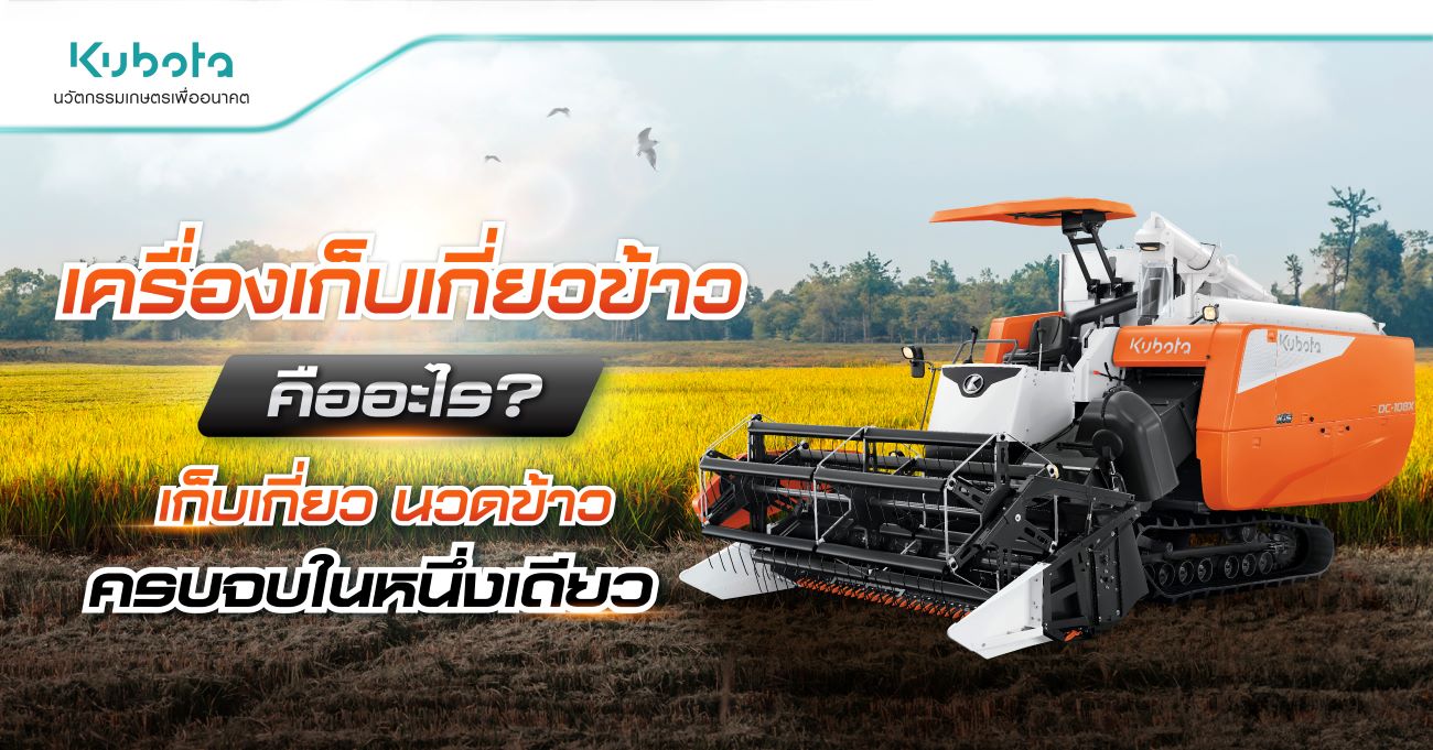 เครื่องเก็บเกี่ยวข้าว คืออะไร? เก็บเกี่ยว นวดข้าว ครบ จบ <BR> ในหนึ่งเดียว