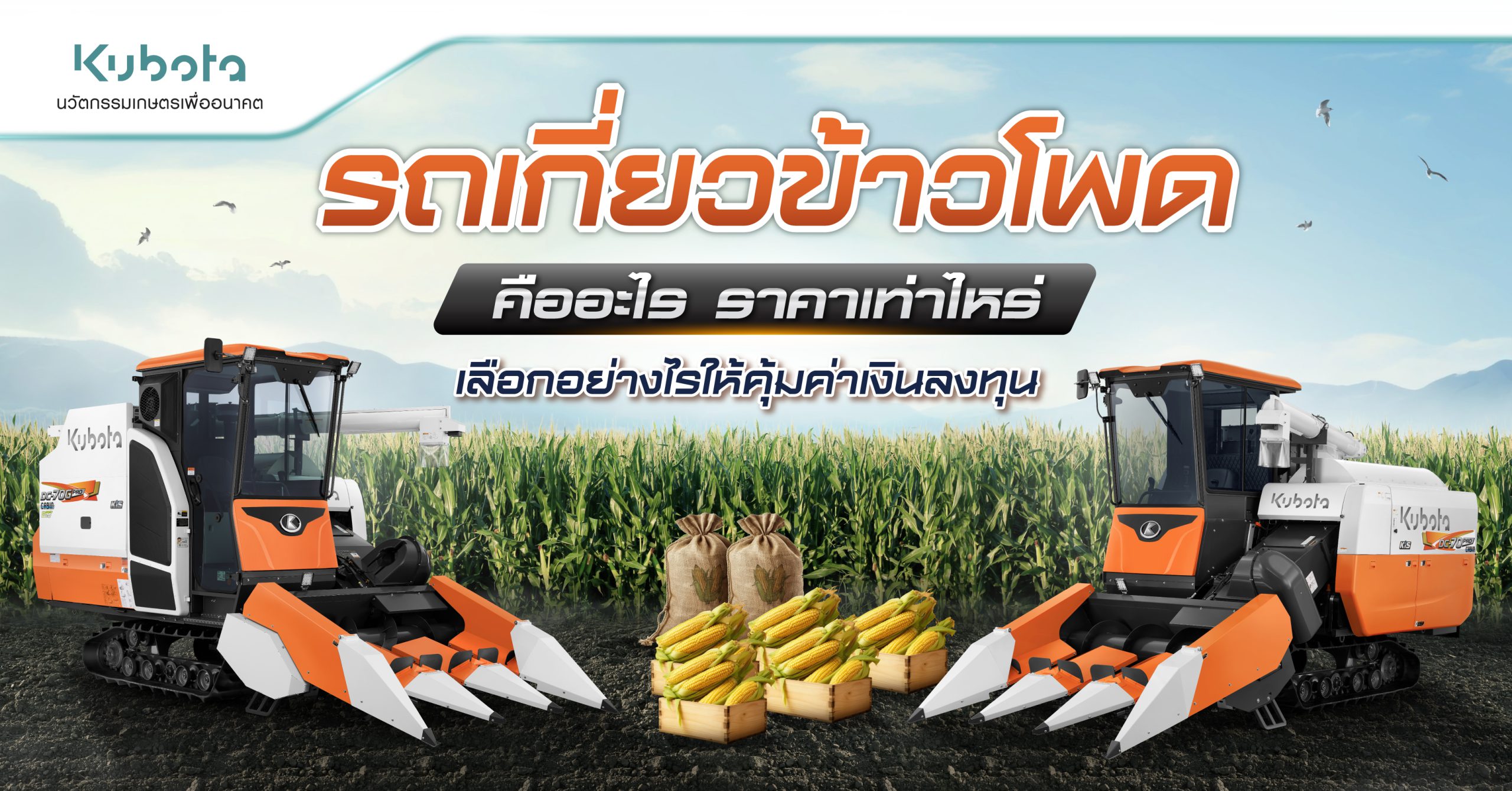 รถเกี่ยวข้าวโพด คืออะไร ราคาเท่าไหร่ <BR> เลือกอย่างไรให้คุ้มค่าเงินลงทุน