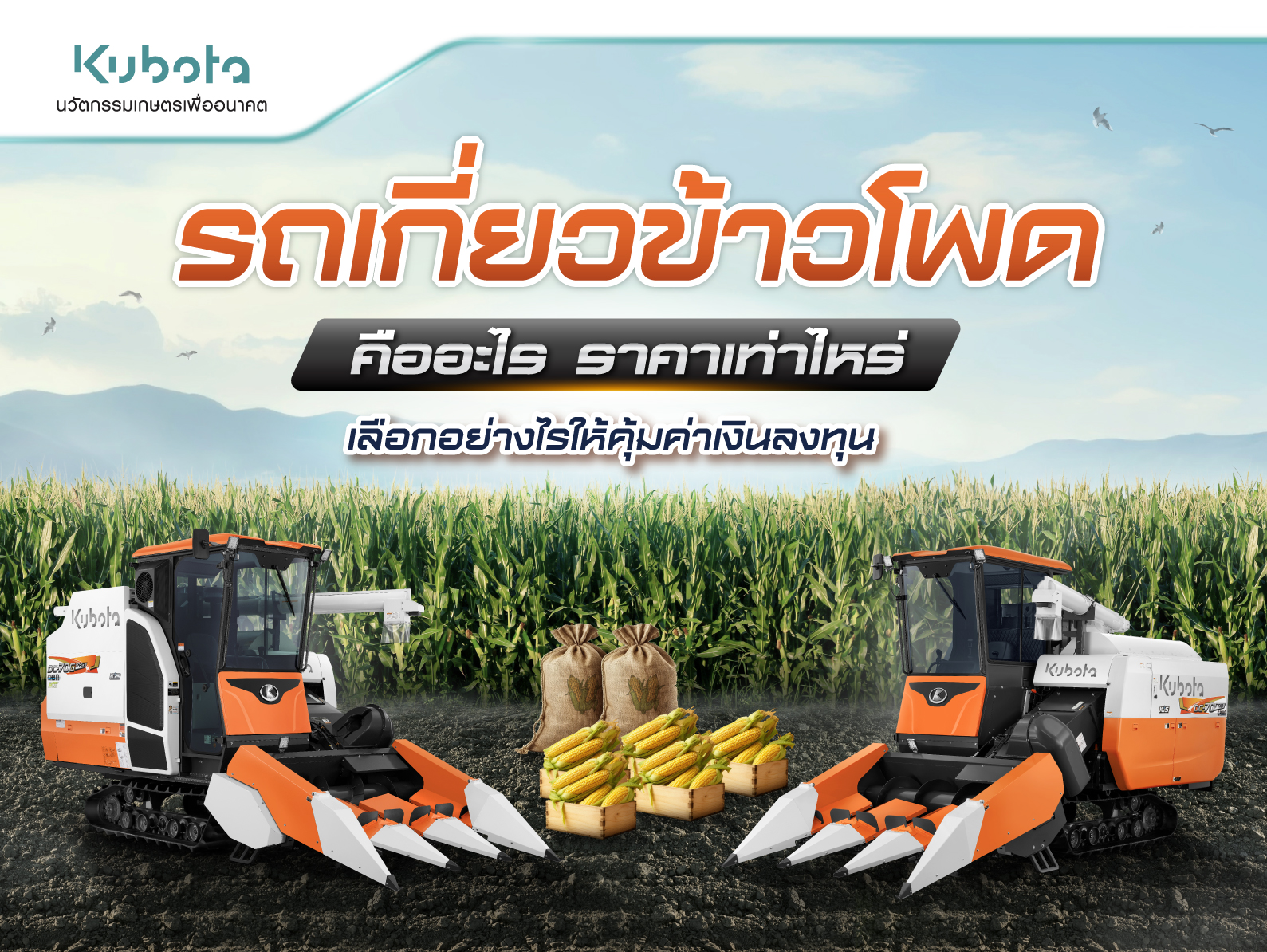 รถเกี่ยวข้าวโพด คืออะไร ราคาเท่าไหร่ <BR> เลือกอย่างไรให้คุ้มค่าเงินลงทุน